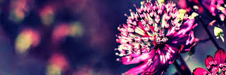 ashley_heid's profile banner image