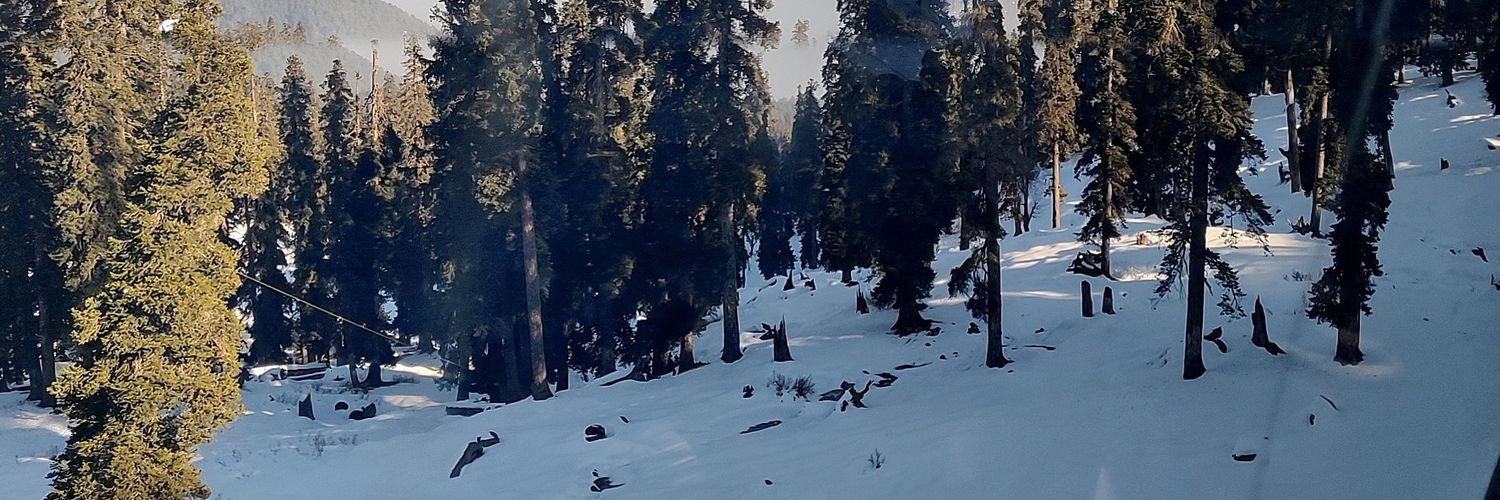 RJHaya's profile banner image