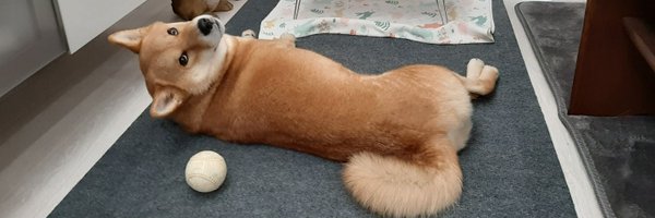 MKN525Z Profile Banner