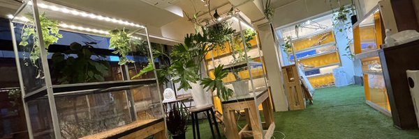 fcf_kyoto Profile Banner