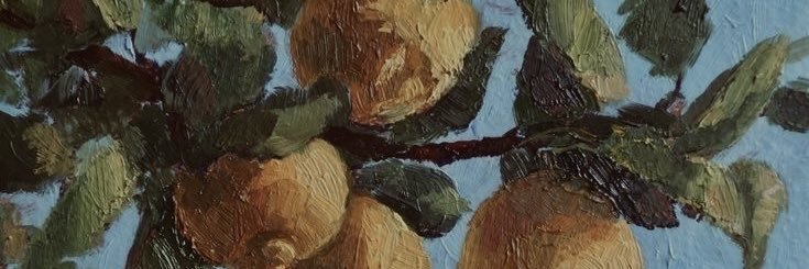 oqheus's profile banner image