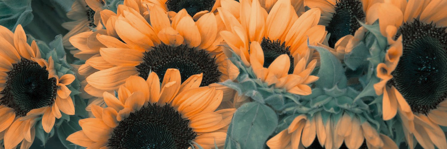 ___frasess's profile banner image