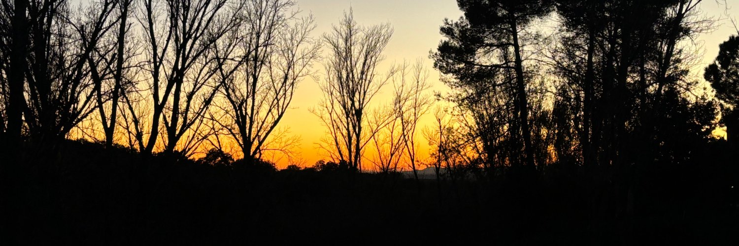 Tere_CH6's profile banner image