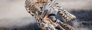 nastyslimdad99's profile banner image