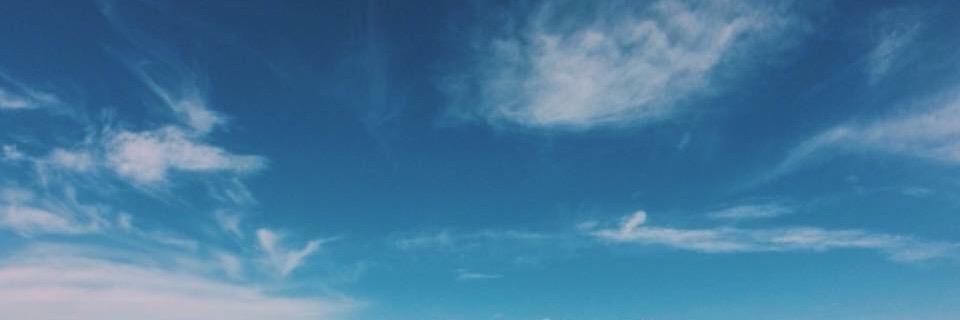 oliviarowee's profile banner image