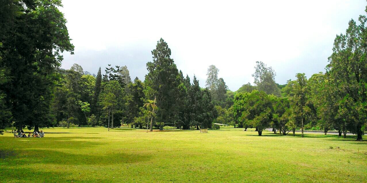 Christina Siman banner