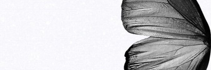 miaissandra's profile banner image
