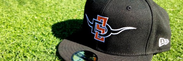 SD_Longhorns Profile Banner