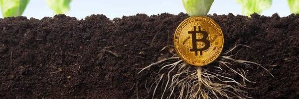 Ravengale Profile Banner