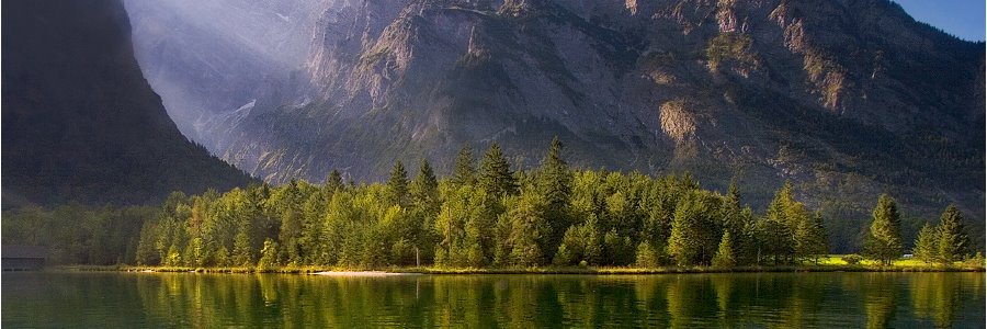 Disblicker 🇪🇺 banner