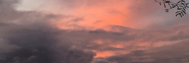 maitegamio's profile banner image