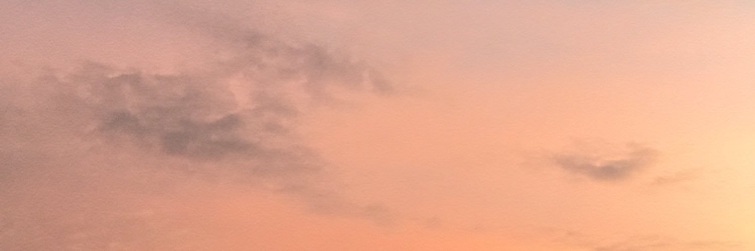 elisaemon's profile banner image