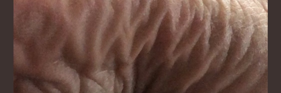 BBCfootCuckhubby banner