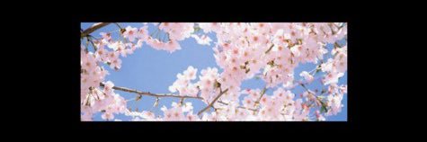 Gaelic Princess (Fatal Frame II Remake Spoilers) banner