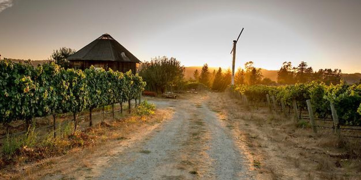 ReulingVineyard's profile banner image