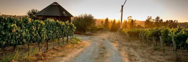 ReulingVineyard Profile Banner