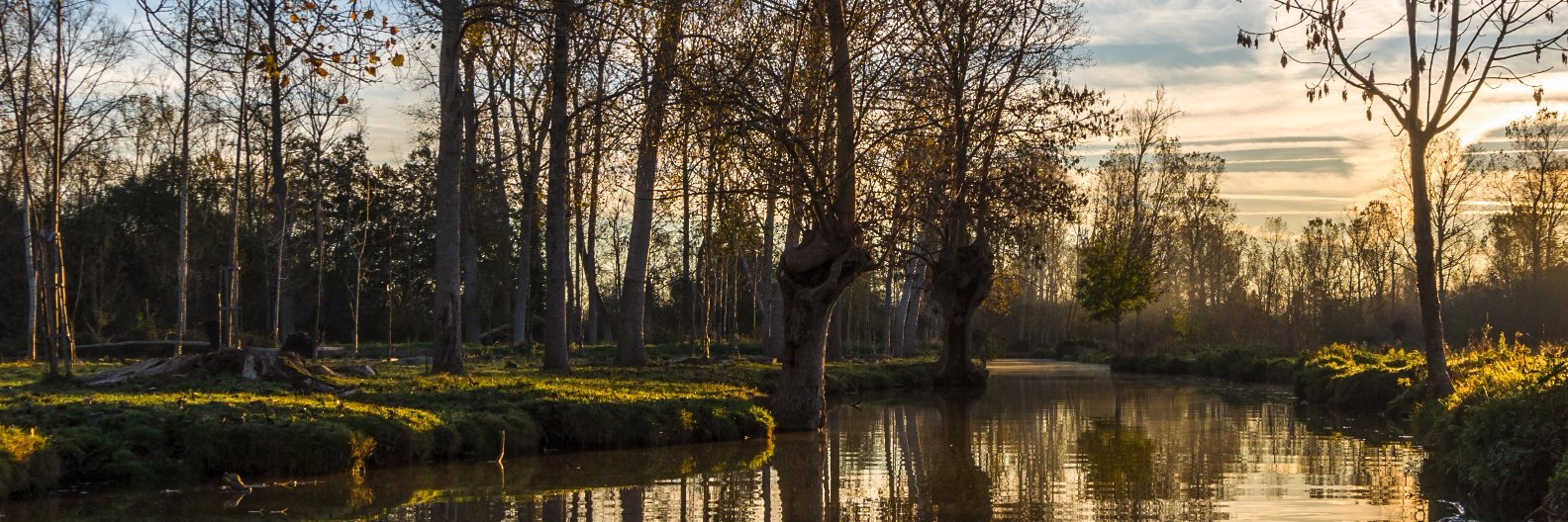pierre_viala's profile banner image