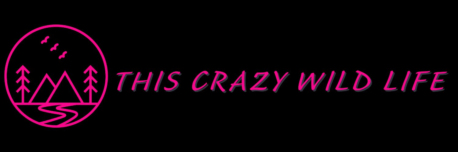 Nicciw86's profile banner image