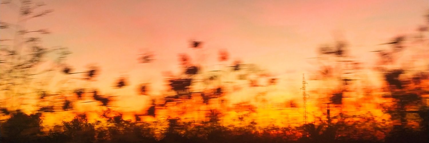 lauraxvg_'s profile banner image
