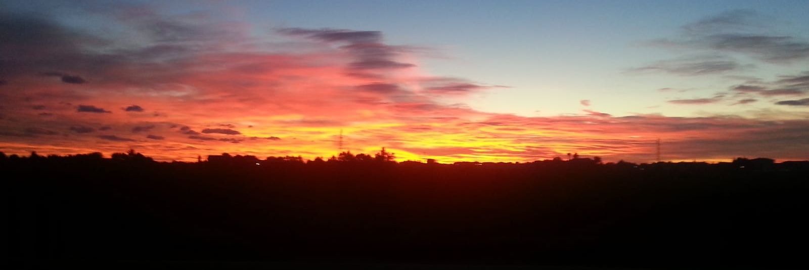 Giulia Tiberi banner