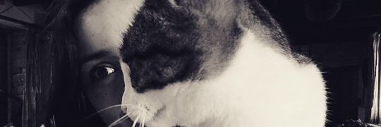 cestpasma's profile banner image