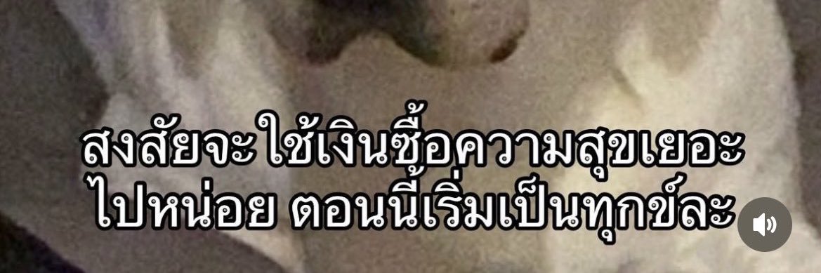 diexpoo banner