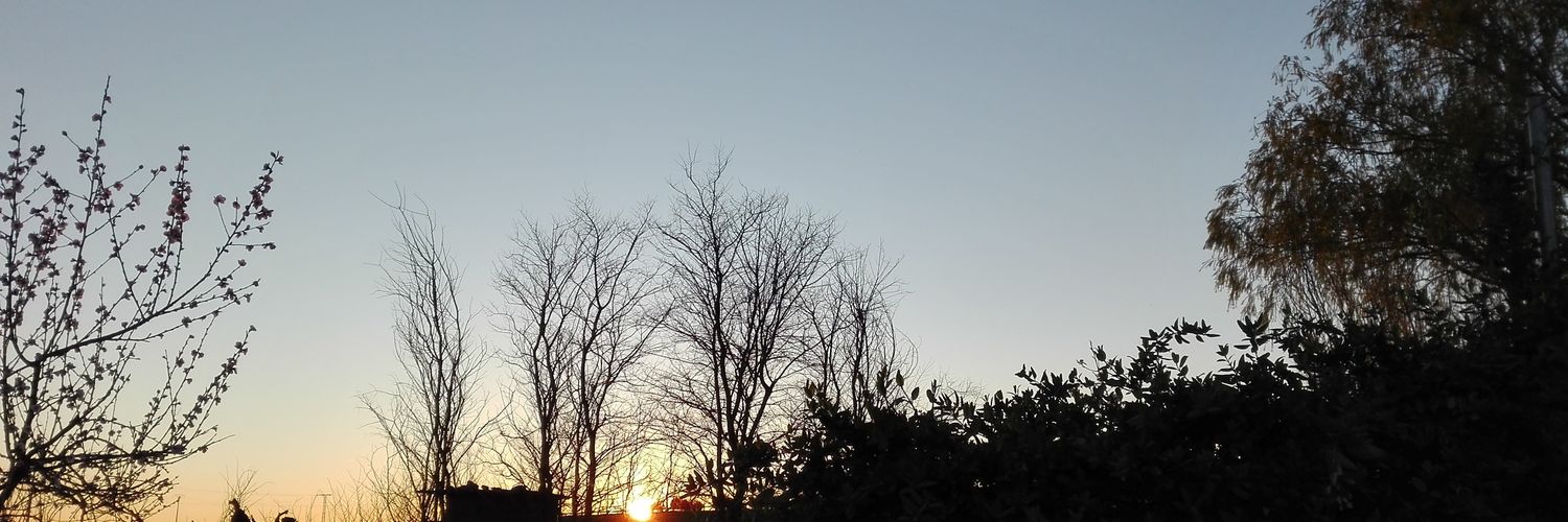 JaviCanoP's profile banner image