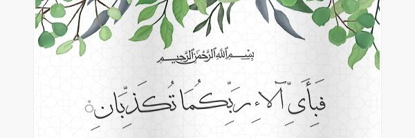PyeparFaisal Profile Banner