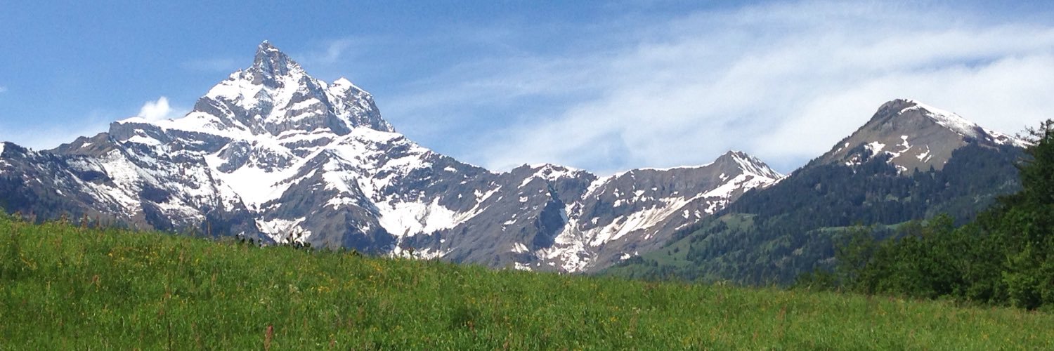FabiaDelfini's profile banner image