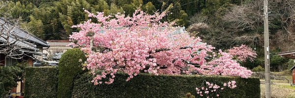 bhury Profile Banner