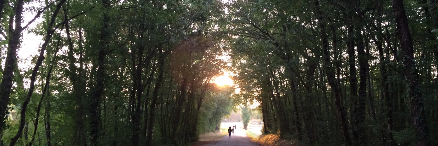 Martha Wright banner