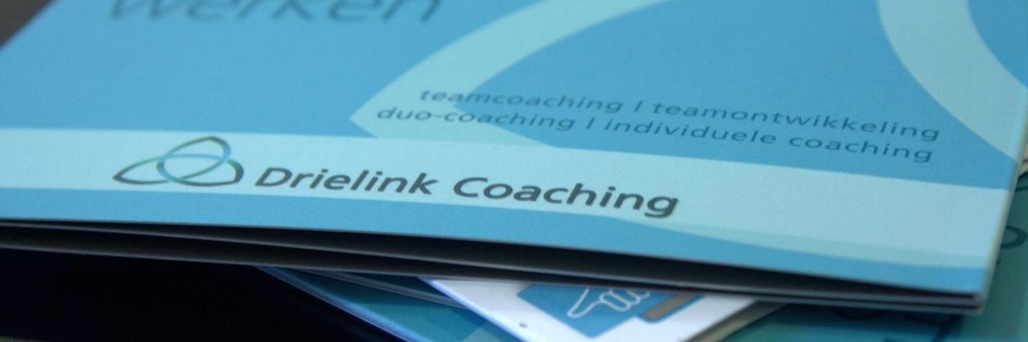 Dinga van Driel banner