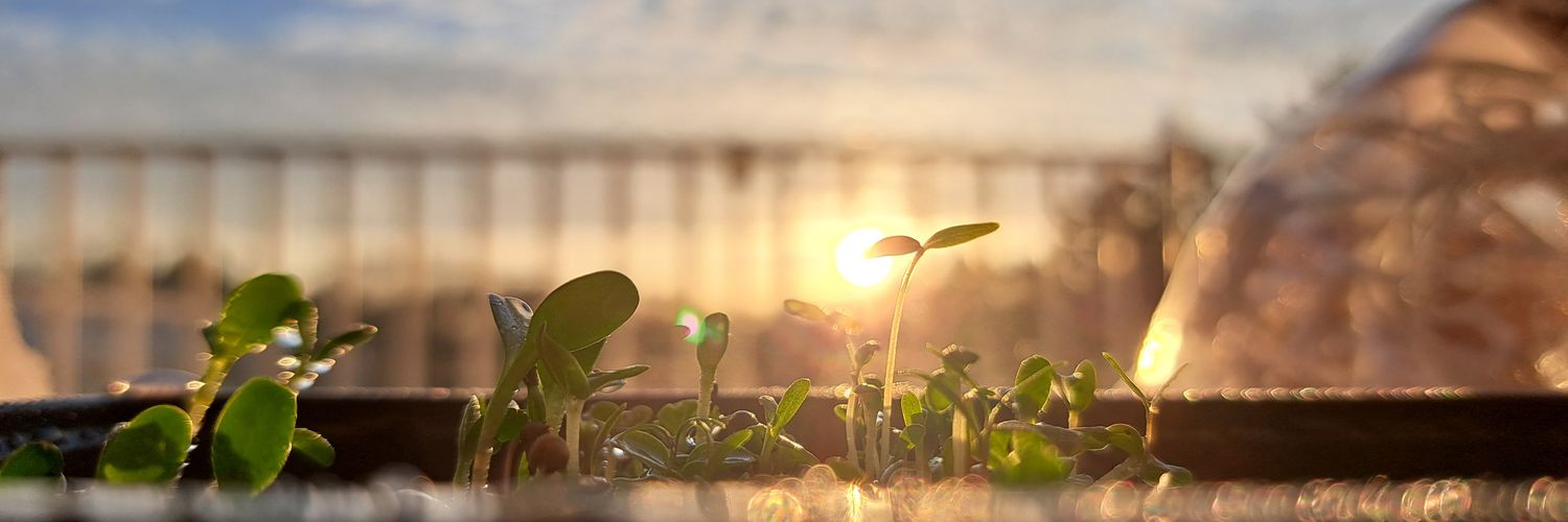 Sudarshan A. Shetty (सुदर्शन शेट्टी) banner