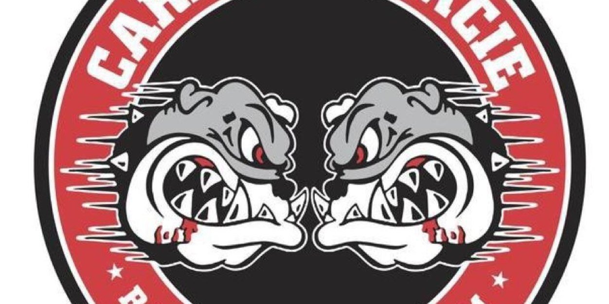 the_fiddla's profile banner image