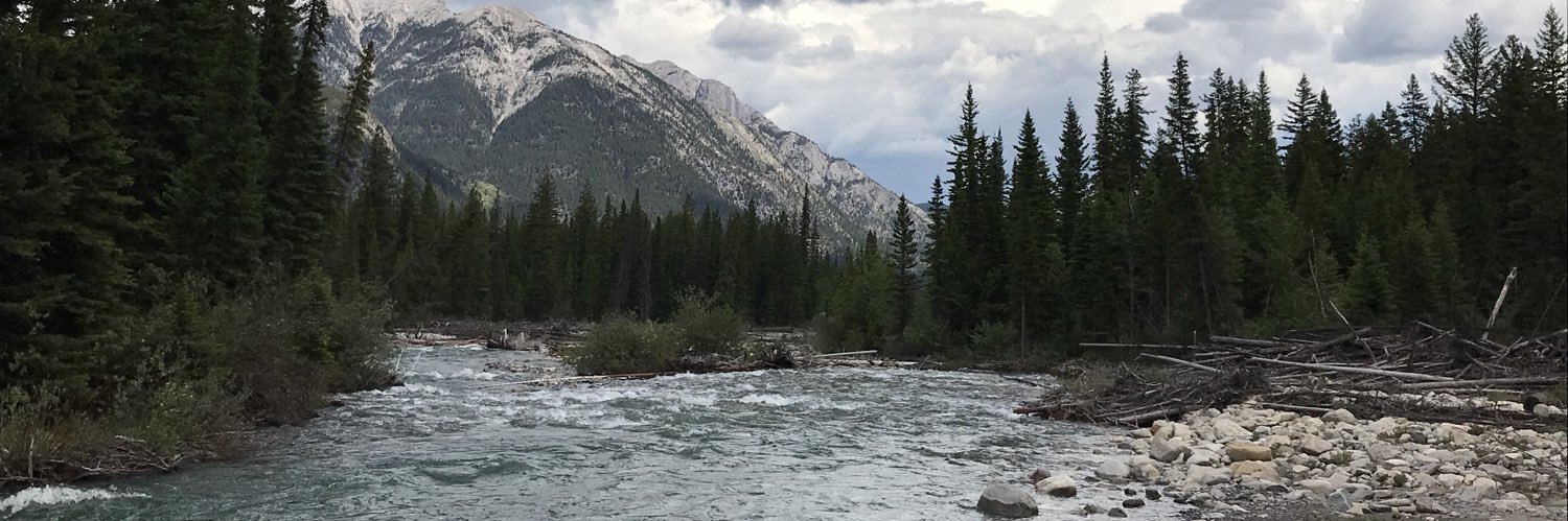 Janice Tranberg banner