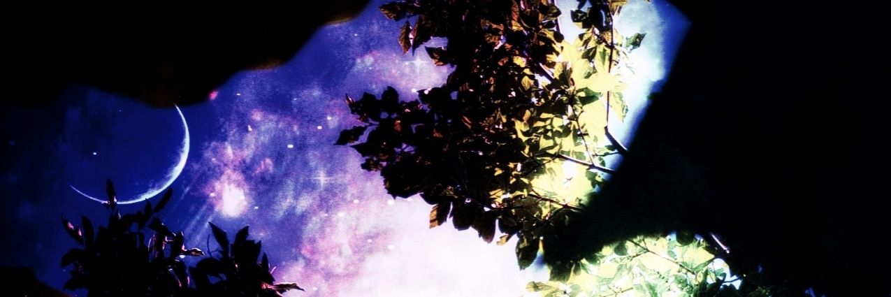 coellx's profile banner image