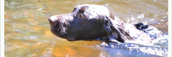 Toby Harding #WetTobes OTRB 🌈 banner