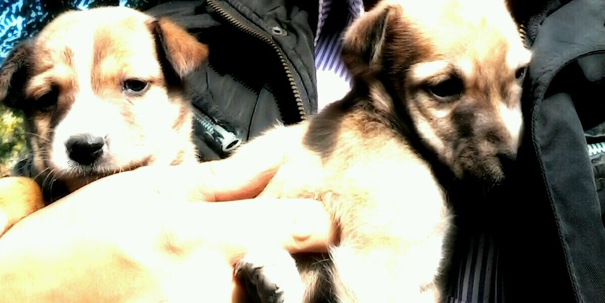 drdeepak1382's profile banner image