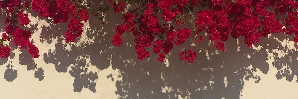 94lousflicker Profile Banner