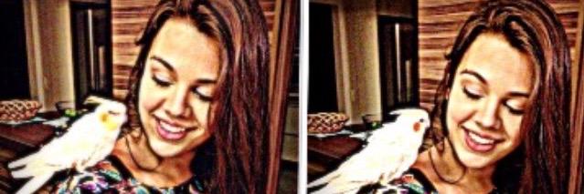 SuzanneRosar's profile banner image