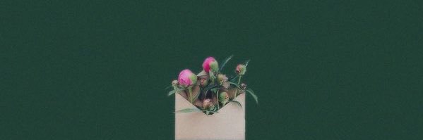 ëm🌱's banner
