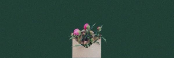 mjspidxy Profile Banner