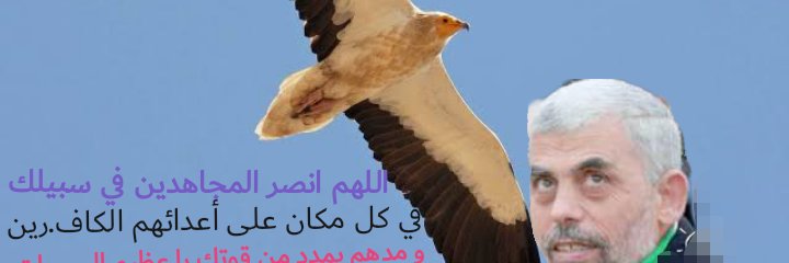 RoraHelmy's profile banner image
