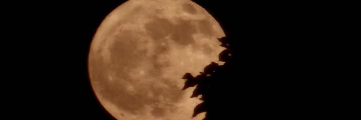 Sacrament84's profile banner image