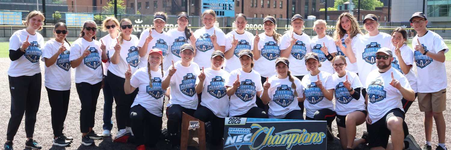 Saint Francis Softball's banner