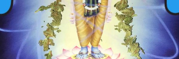 iflippedshit Profile Banner