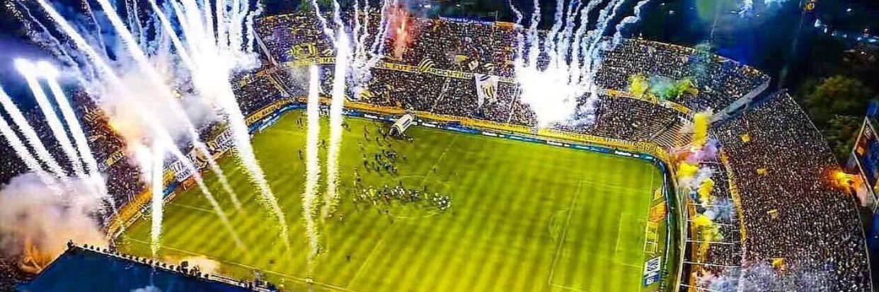 Theo van Gestel banner