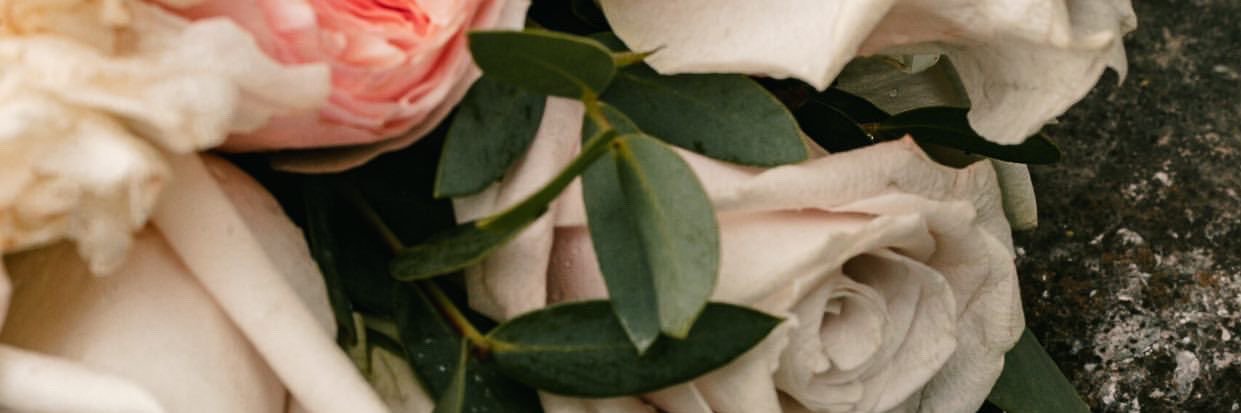 drewswainn's profile banner image