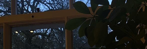 lologe555's profile banner image