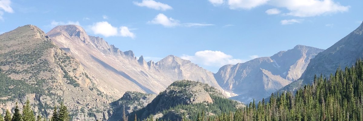vannewell's profile banner image